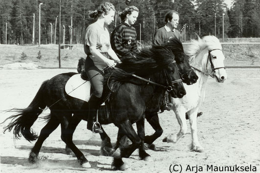 Ratsatusnyts 90-luvun alussa: Minna Toivonen / Kitla fr Borgns,Anna Sorsa / Hrnn fr Hrepphlum ja Acke Perander / Hla fr Skari